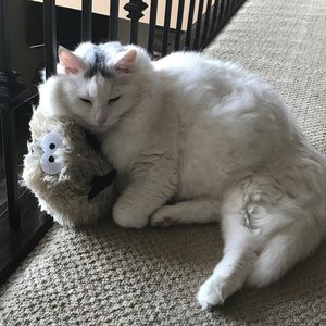 Meet your Posher, Alandra